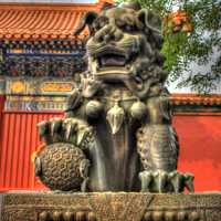 Lion Statue at Lama Temple in Beijing, China