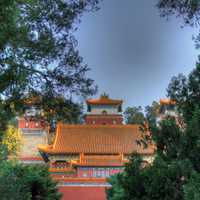 Temple through the trees in Beijing, China