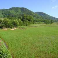 Farmland landscape near Xinlong