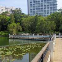 Walkway at CUHK