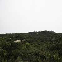 Cloudy Mountaintop in Hong Kong