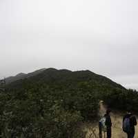 People Hiking on the Mountaintop