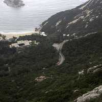 Trees, road, mountain, and sea in Hong Kong