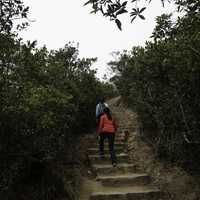 Two people walking up the steps on the Mountain in Hong Kong