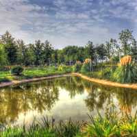 Pond, landscape, and Sky in Nanjing, China