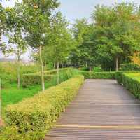 Walkway in Nanjing, China