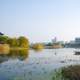 Lake and landscape in Wuxi, Jiangsu, China