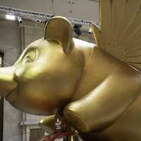 Close up of Golden Pig