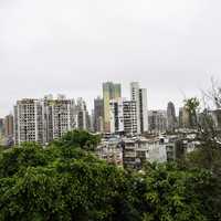 Towers above the trees