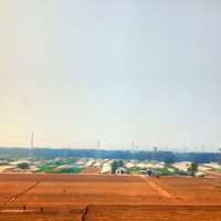 Colorful Farms in Shandong, China