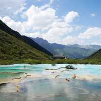 Landscape of Goddess Lake in Jiuzhaigou in Sichuan, China