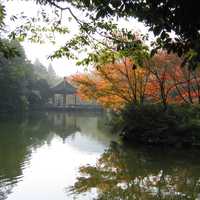 Colorful trees and lake landscape