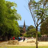 Barefoot Park in Medellin, Colombia