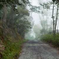Path through the foggy forest in Boyaca, Columbia