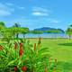 Beach and Coast in Costa Rica