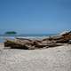 Log on sandy beach in Costa Rica