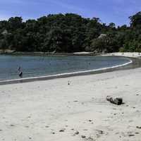 Sandy shoreline in Costa Rica