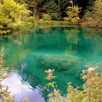 Beautiful Lakes and water at Plitvice Lakes National Park, Croatia