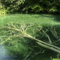 Plitvice Lake Water at Plitvice Lakes National Park, Croatia