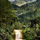 Country road landscape in Cuba