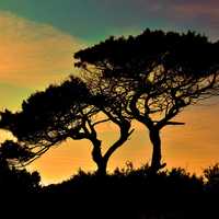 Capo Greko national Park Sunset in Cyprus