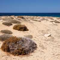 Sand and Beach Landscape in Cyprus