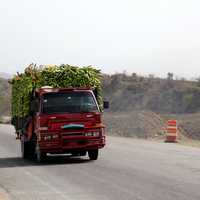 Truck carrying the Bananas on the road