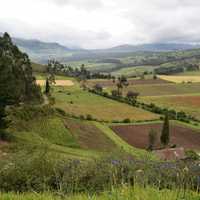 Farmland flora and Fauna landscape in Ecuador