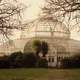 The Palm House In Sefton Park Liverpool, England