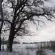 Winter and Snow landscape in Nottingham, England