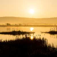 Dawn over the Marsh
