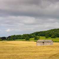 House and farm landscape