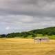 House and farm landscape