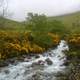 Lingmell Gill landscape in England