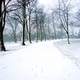 Snow in Spinney Hill Park in Leicester, England