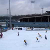 Jyväskylän Seudun Palloseura in the 2014 Bandy Final, Finland