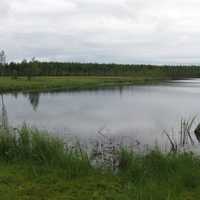 The small lake of Ahvenlampi in Puolanka, Finland