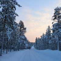 Snowy landscape in Finland