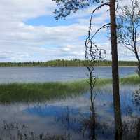 The lake Loukkolampi landscape in Puolanka, Finland