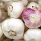 A bunch of Garlic Cloves