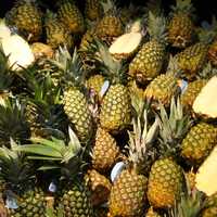 A bunch of Pineapples