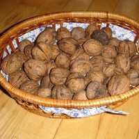 Basket of Walnuts