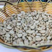 Beans inside a basket