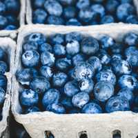 Boxes of Blueberries