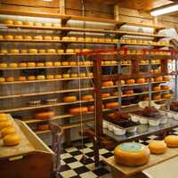 Cheese Factory and cheese products