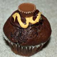 Chocolate Candy Muffin