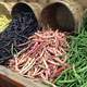 Different Colored String beans