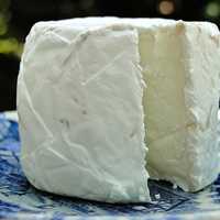 Fresh Goat Cheese