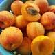 Fresh Peaches cut in the bowl