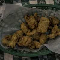 Fried Alligator Bites